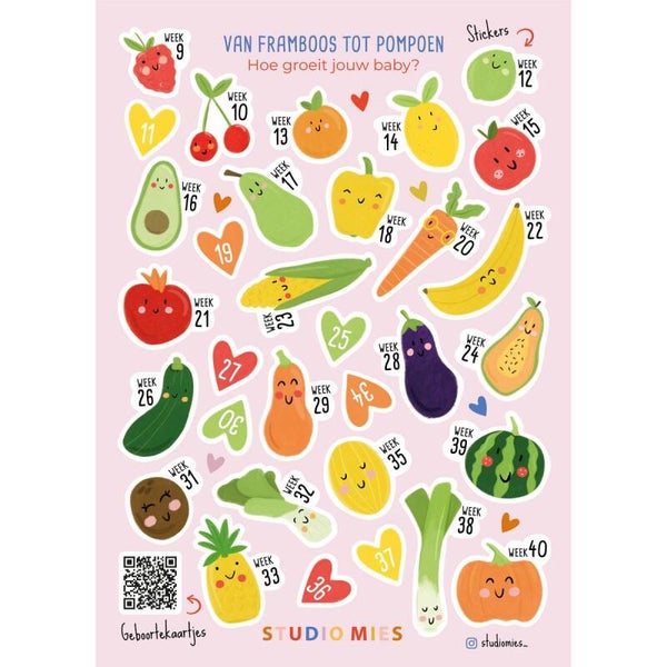 Stickers mijlpalen zwangerschap