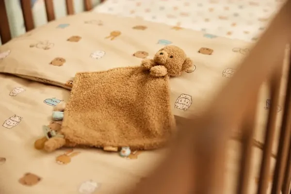 Speendoekje - Bear Brave