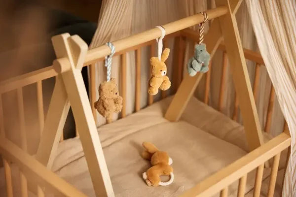 Babygym hout - Twist & go