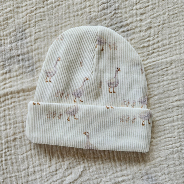 Mutsje newborn -   Goose