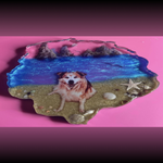 img_2269-standard.png