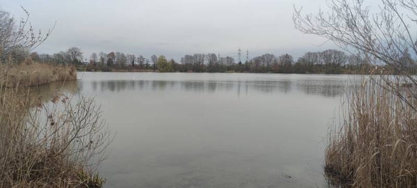 Freiwasser Schwimmkurs für Kinder 1 (Anfänger)