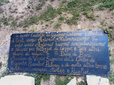 1000017606-standard-ijmedg.jpg