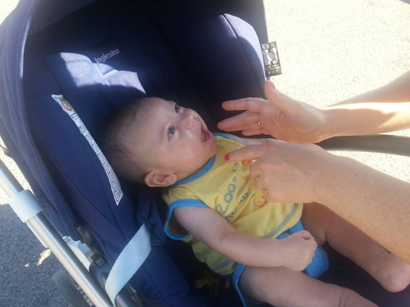 20140727_172550-standard.jpg
