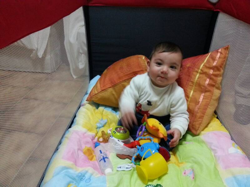 img-20141124-wa0005-standard.jpg