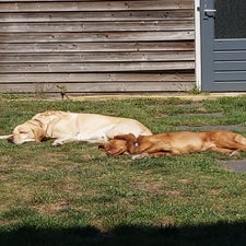 20220812_141124.jpg