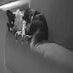 img-20220918-wa0002.jpg