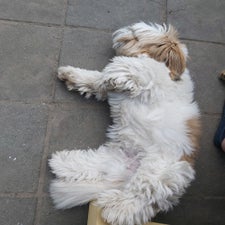 20220824_131659.jpg