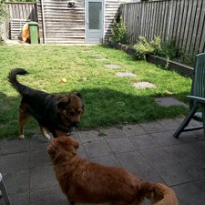videocapture_20220819-212309.jpg