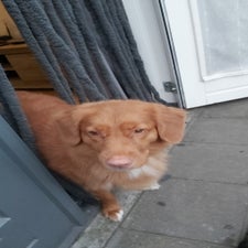 img-20220818-wa0011-1.jpeg