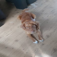 img-20220806-wa0000.jpeg