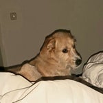 20221112_222953.jpg