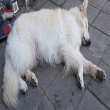 20220912_123434.jpg