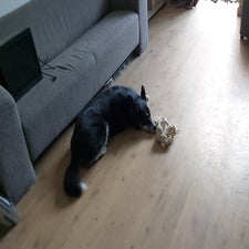 img-20220925-wa0000.jpeg