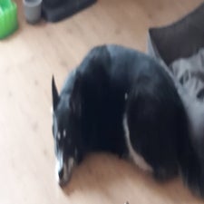 20220924_115316.jpg