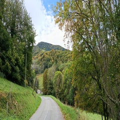img_20251004_100744-standard.jpg