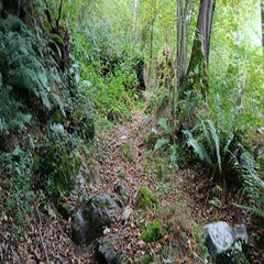 img_20251004_101235-standard.jpg