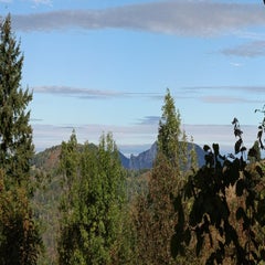img_20251004_103357-standard.jpg