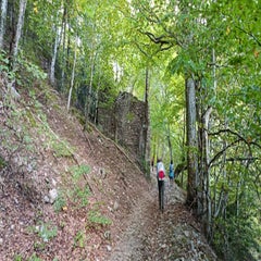 img_20251004_105511-standard.jpg
