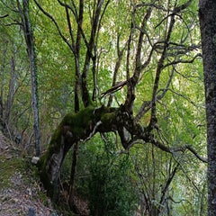 img_20251004_105542-standard.jpg