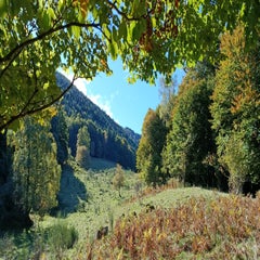 img_20251004_111632-standard.jpg