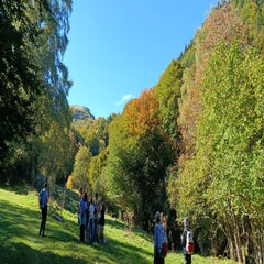 img_20251004_112114-standard.jpg