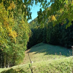 img_20251004_114138-standard.jpg