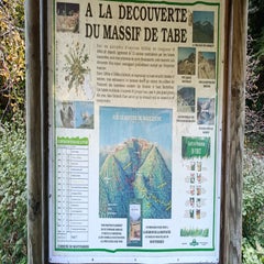 img_20251004_114912-standard.jpg