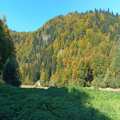 img_20251004_120418-standard.jpg