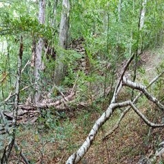 img_20251004_154705-standard.jpg