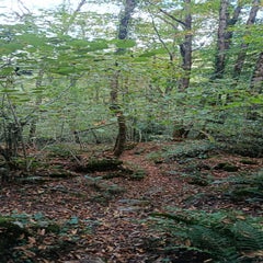img_20251004_160946-standard.jpg