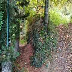 img_20251004_161934-standard.jpg
