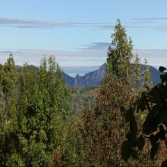 img_20251004_174539-standard.jpg