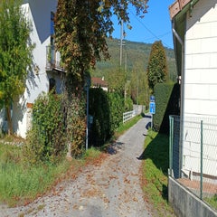 img_20251008_141827-standard.jpg