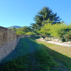 img_20251008_151852-standard.jpg