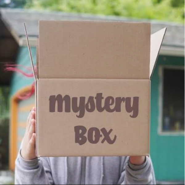 Mega Haul Mystery Box