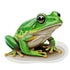 FROGS FOR YOU.