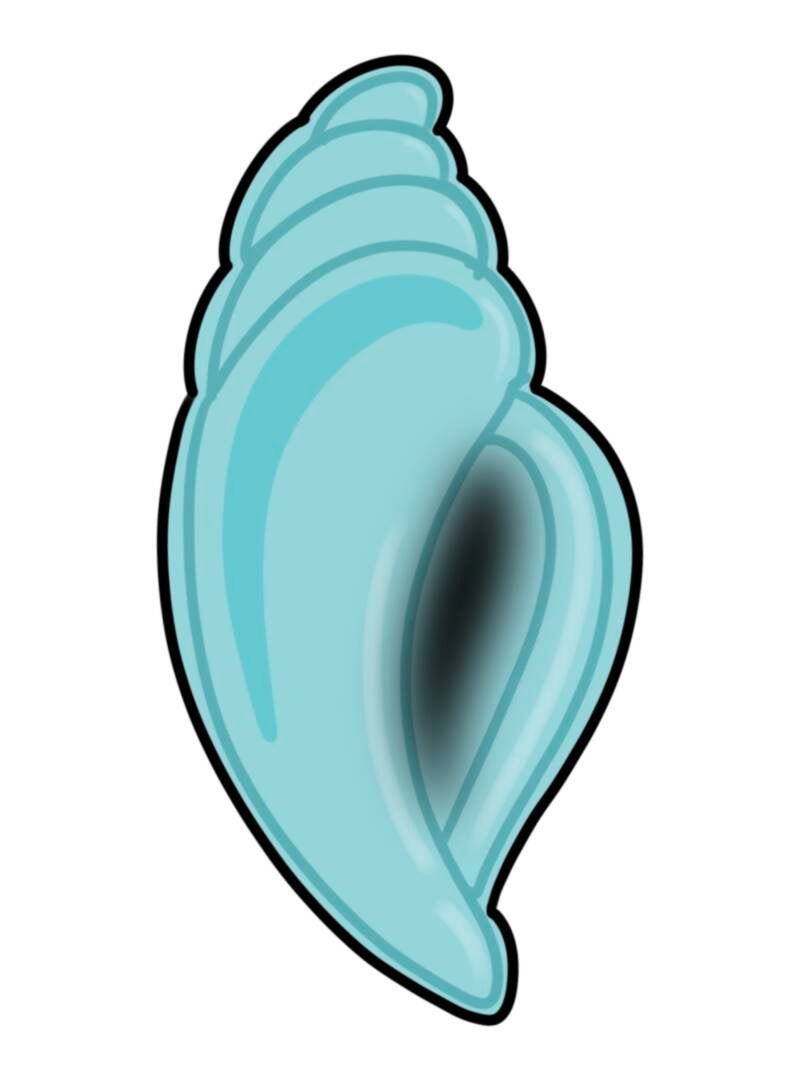 Conch Shell STL file