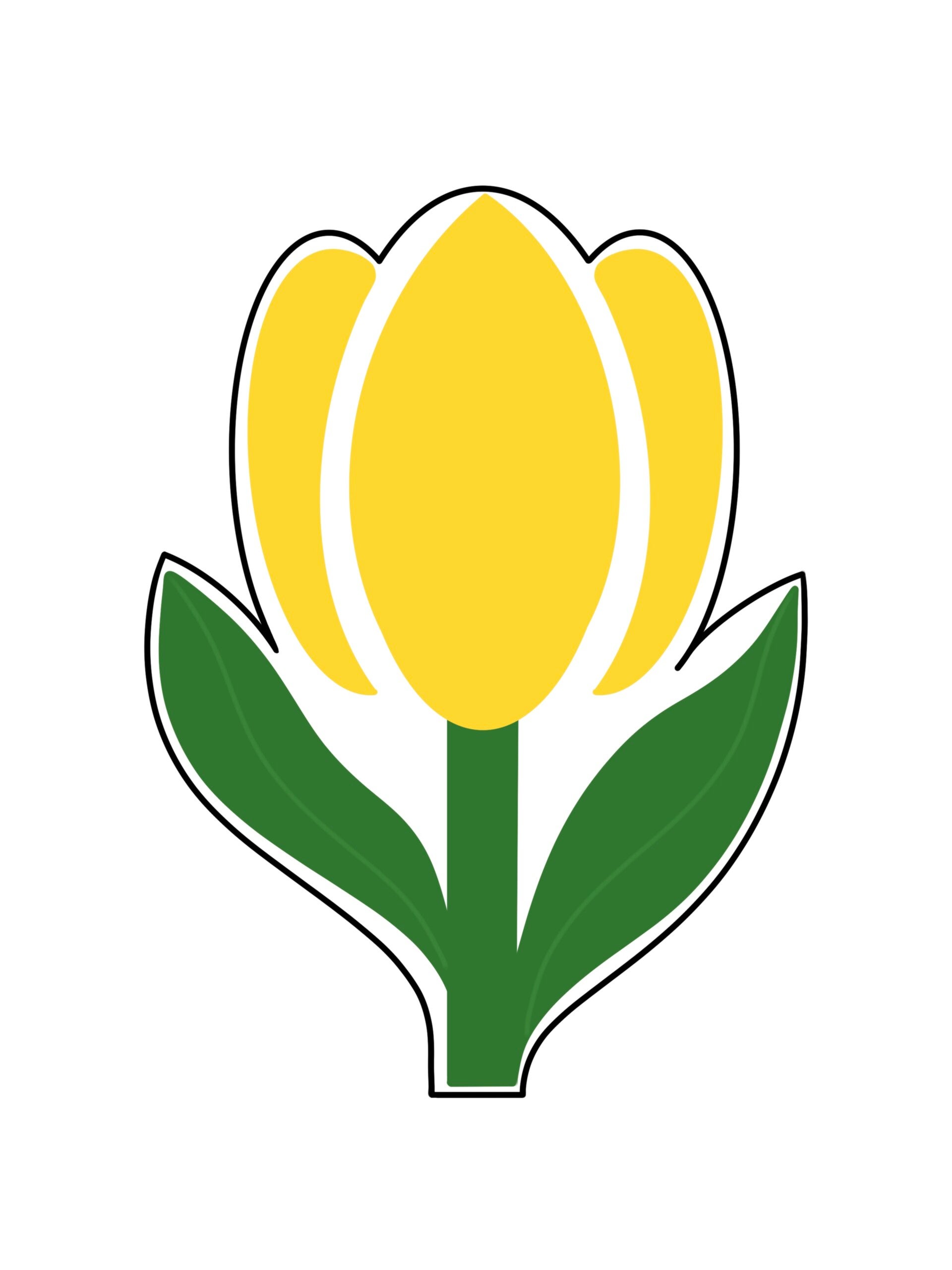 Tulip