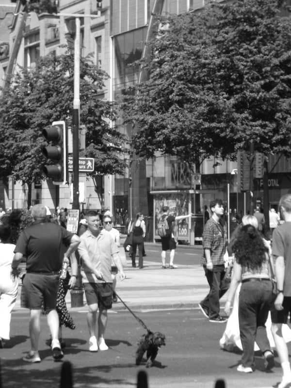 The faces of passers by