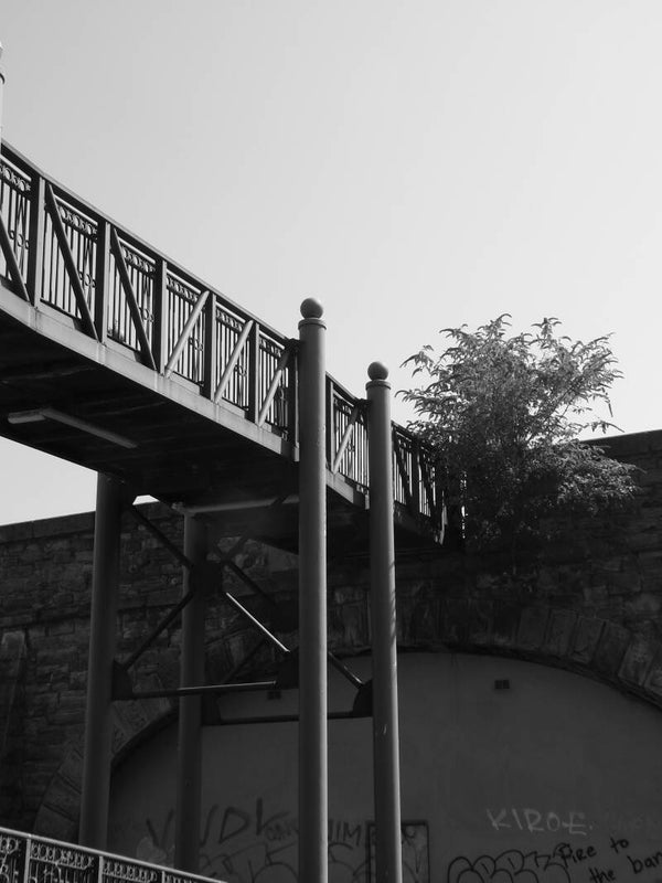 A bridge to life