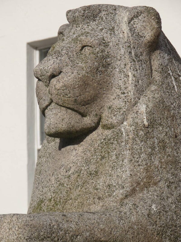 Lionheart of history