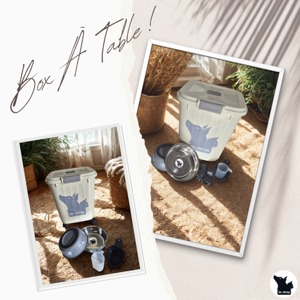 🐾 Box À Table – Taille M