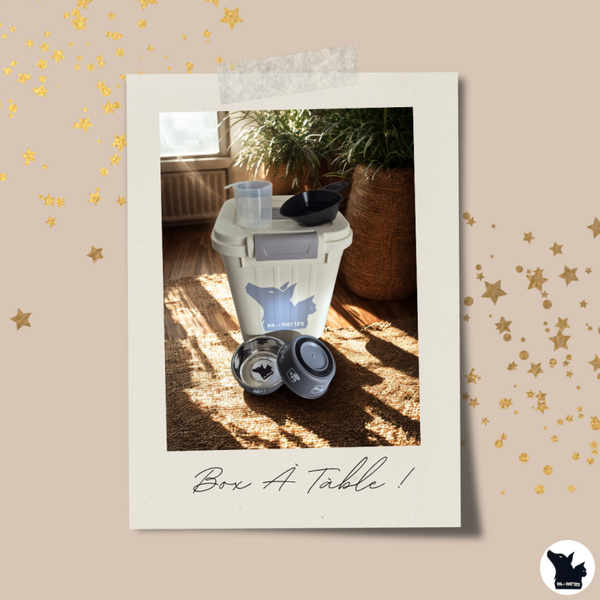 🐾 Box À Table ! – Taille S