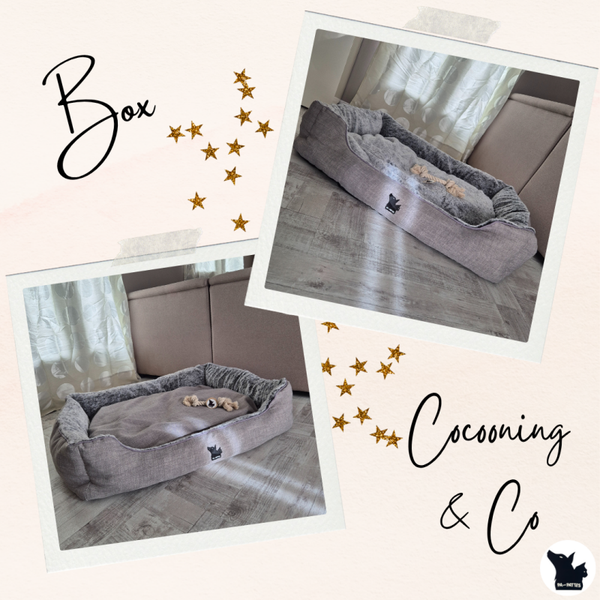 🐾 Box Cocooning & Co – Taille XL