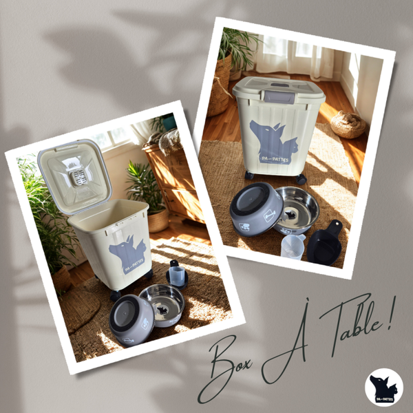 🐾 Box  À Table – Taille XL