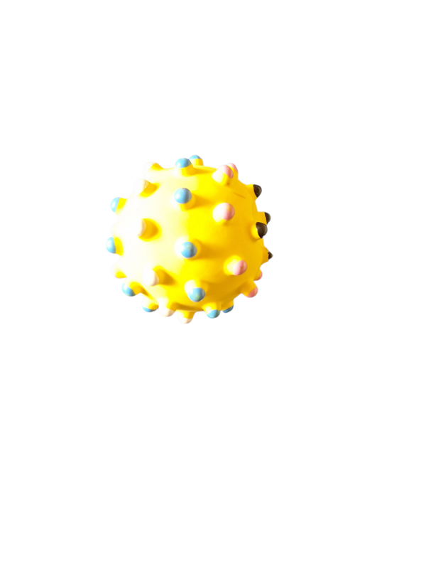 Hunde Igelball mit Quitsch funktion