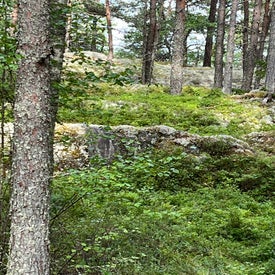 10b65e13-4dae-42de-87b8-41c1b5730c06-standard.jpg
