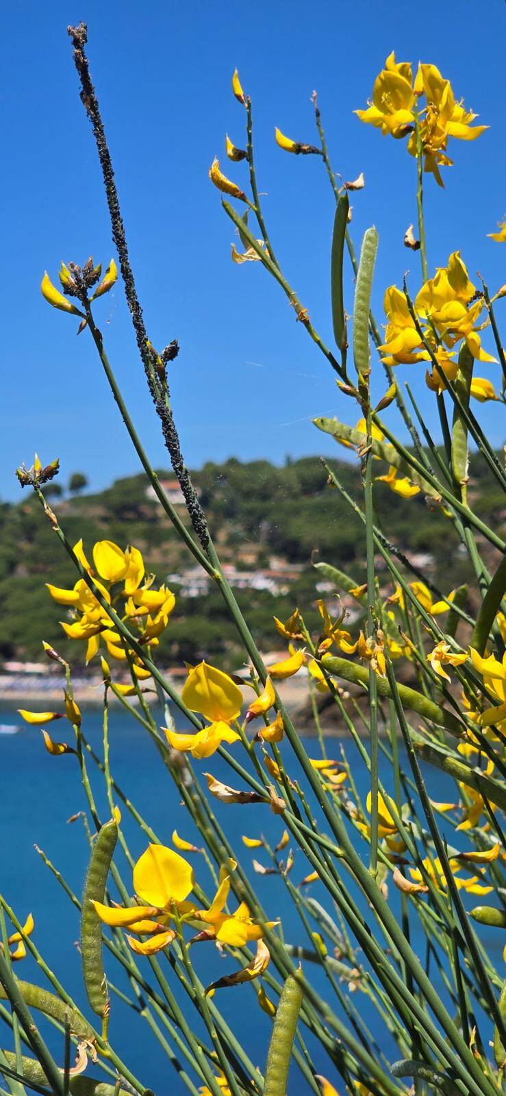 whatsapp-image-2026-06-15-at-3-24-12-pm-1-standard-gmmds0.jpg