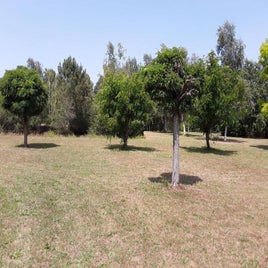 312753764-2.jpg